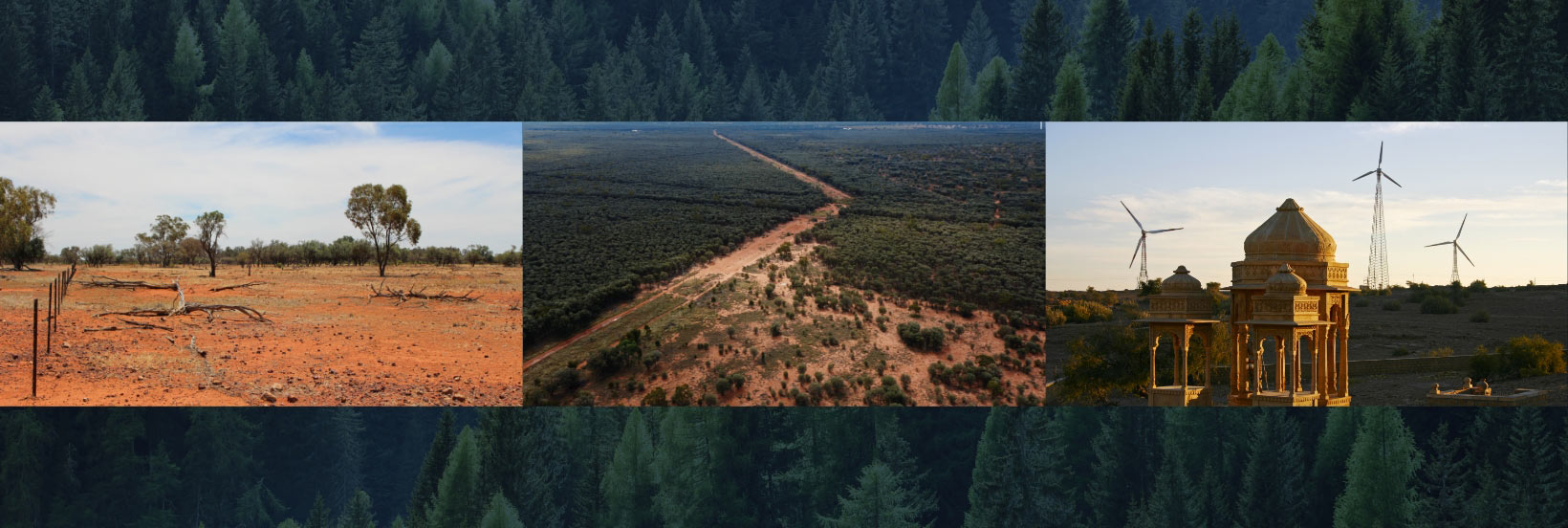 Carbon offsets: The new customer loyalty tool